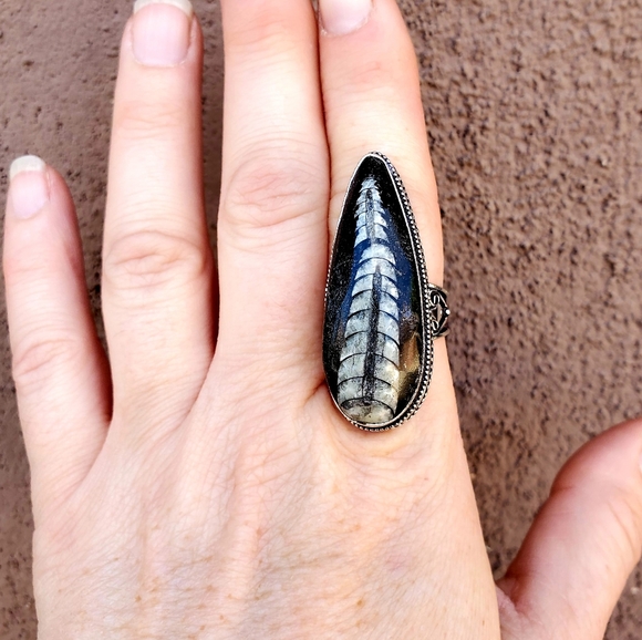 New Huge Orthoceras Fossil 925 Silver Ring. - Picture 4 of 16